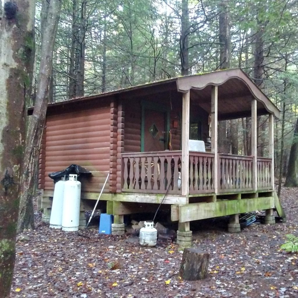 Rustic Cabin