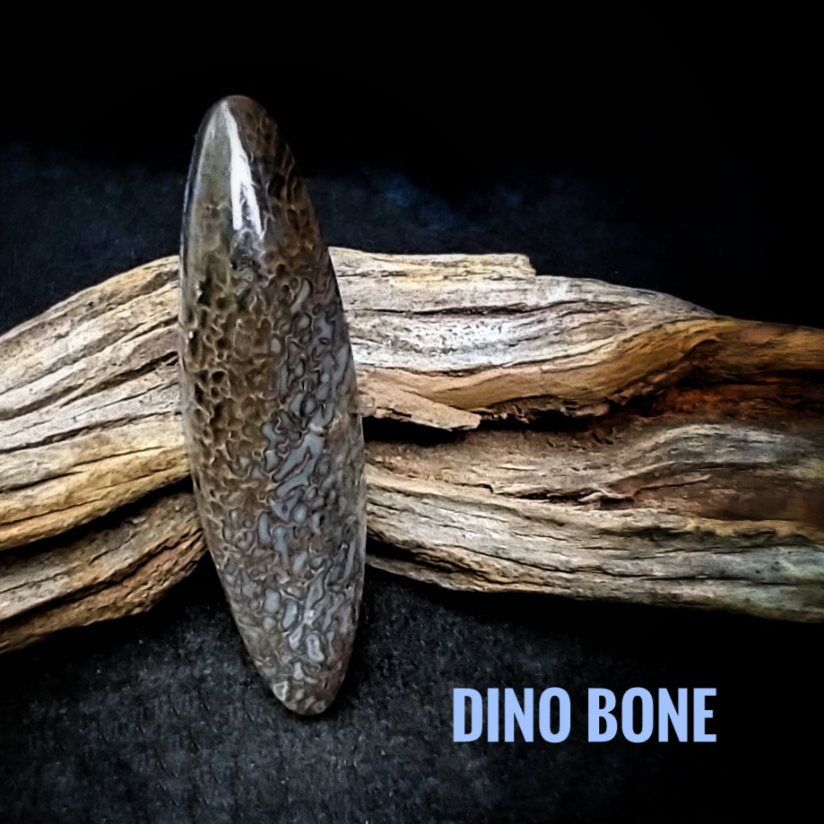 Dinosaur Bone Designer Cabochon